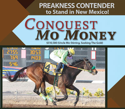 Conquest MoMoney